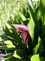 20200714_100310.jpg