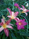 20200718_195718.jpg