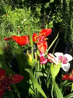 20200718_101346.jpg