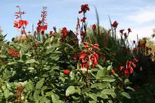 064.webp