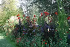 067.webp