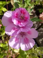 F0777AB6-834B-445D-A3D6-0E6D96095E65.webp