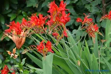 comp_DSC09196.webp