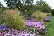 041.webp