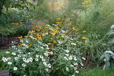 054.webp