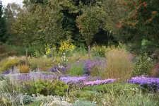 055.webp