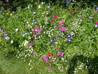 DSC01157.webp