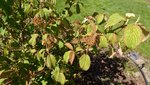 20200720_163234.jpg