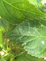 IMG_20200720_194425_557.webp