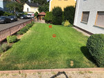 IMG_8209_2.jpg
