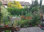 20200721_210211.jpg