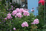 Phlox Landhochzeit0119.JPG