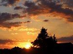 image004.jpg
