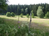 P1010349.webp
