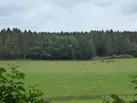 P1010373Kuhherde.webp