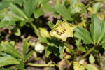 DSC00183.JPG