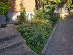20200712_080022.jpg