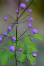 DSC_0749.webp