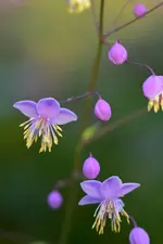 DSC_0750.webp