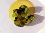 IMG_20200723_080707.jpg