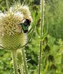 IMG_20200723_162625.jpg