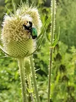 IMG_20200723_162623.jpg