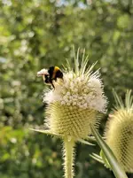 IMG_20200723_163041.jpg
