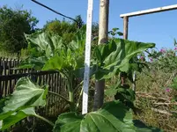 k-DSC03171.webp