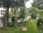 20200724_082151.jpg