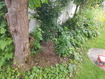 20200724_082200.jpg