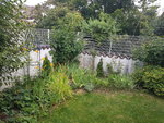 20200724_082211.jpg