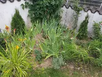20200724_082218.webp