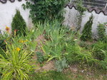 20200724_082218.jpg