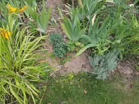 20200724_082223.webp