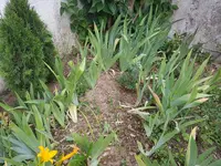 20200724_082230.webp