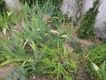20200724_082236.jpg