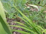 20200724_082246.jpg