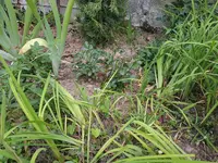 20200724_082250.webp