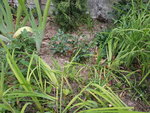 20200724_082250.jpg