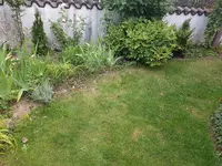 20200724_082307.jpg