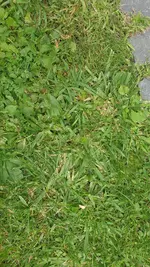 20200724_125416_resized.webp