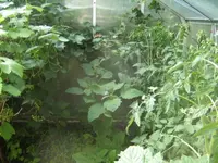 BILD1865.webp