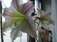 BILD1854.webp