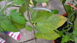 20200725_081957.jpg
