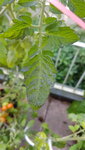 20200725_082154.jpg
