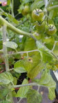 20200725_081947.jpg