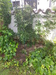 20200725_092506.jpg
