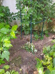 20200725_092513.jpg