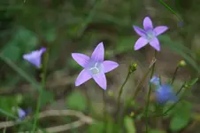 DSC00193.webp