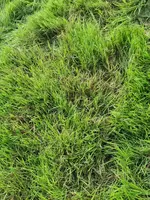 IMG_20200725_183033.webp